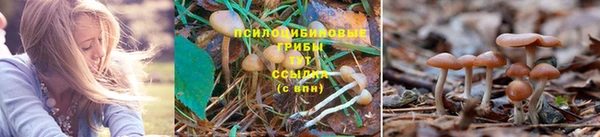 СК Алзамай
