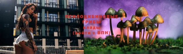 СК Алзамай