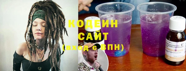 прущие грибы Няндома
