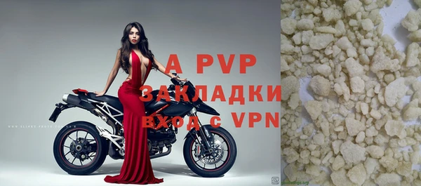 СК Алзамай
